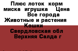 Плюс лоток, корм, миска, игрушка. › Цена ­ 50 - Все города Животные и растения » Кошки   . Свердловская обл.,Верхняя Салда г.